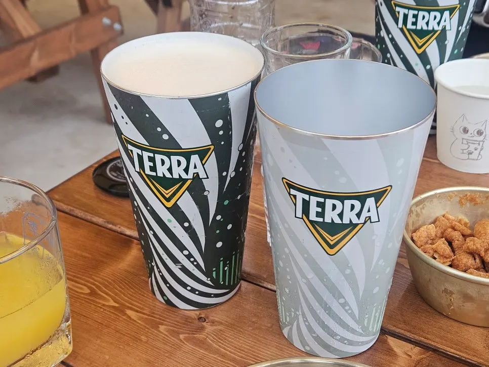 A 500cc glass of Terra draft beer