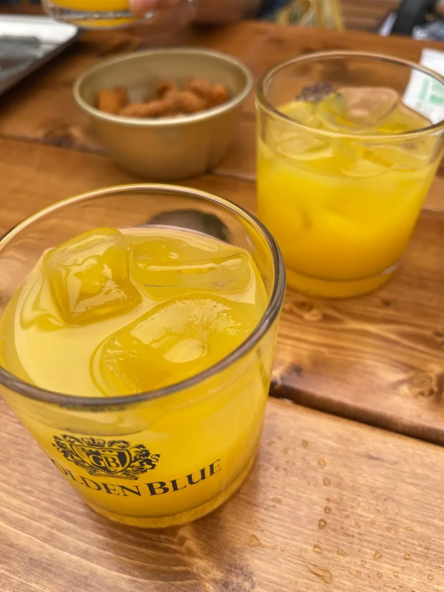 자리에 나온 꼬꼬랜드 웰컴드링크