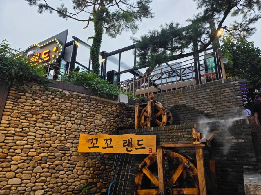 활기찬 분위기의 꼬꼬랜드 야장 홀