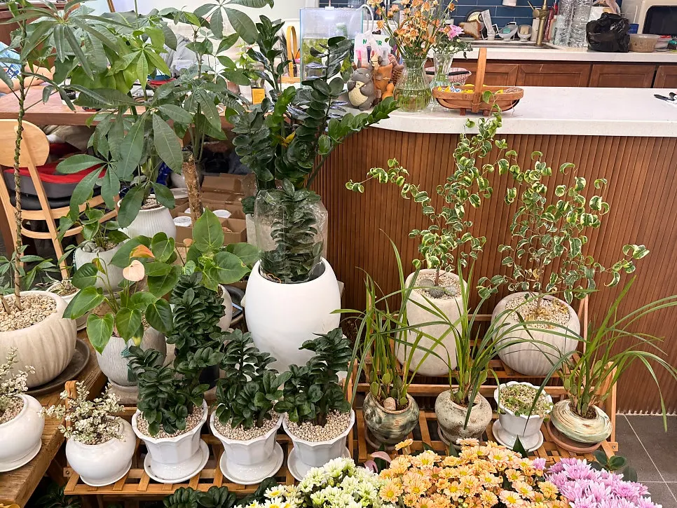 色とりどりのお墓参り用生花の花束
