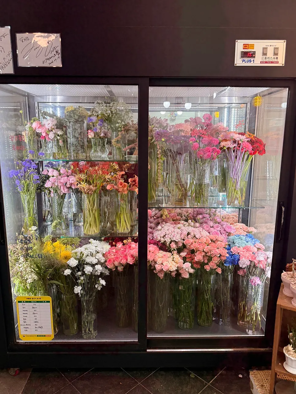 クッピウムの花の冷蔵庫の中の生花