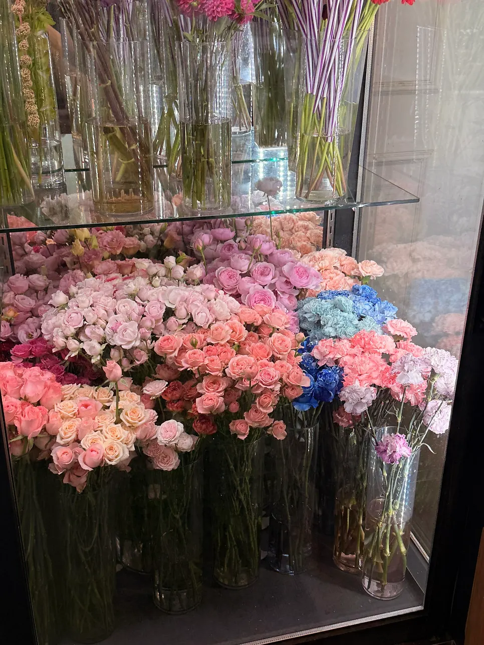 芍薬・バラ・カーネーションなど冷蔵庫の花