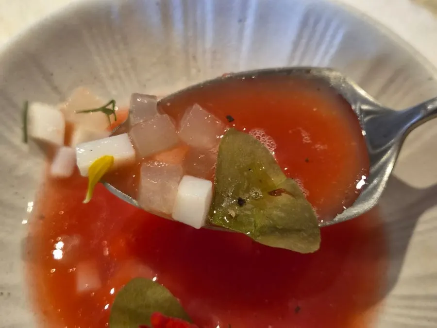 Watermelon gazpacho topped with a begonia flower