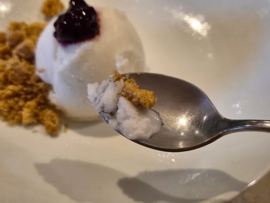Yogurt sorbet served with berry jam