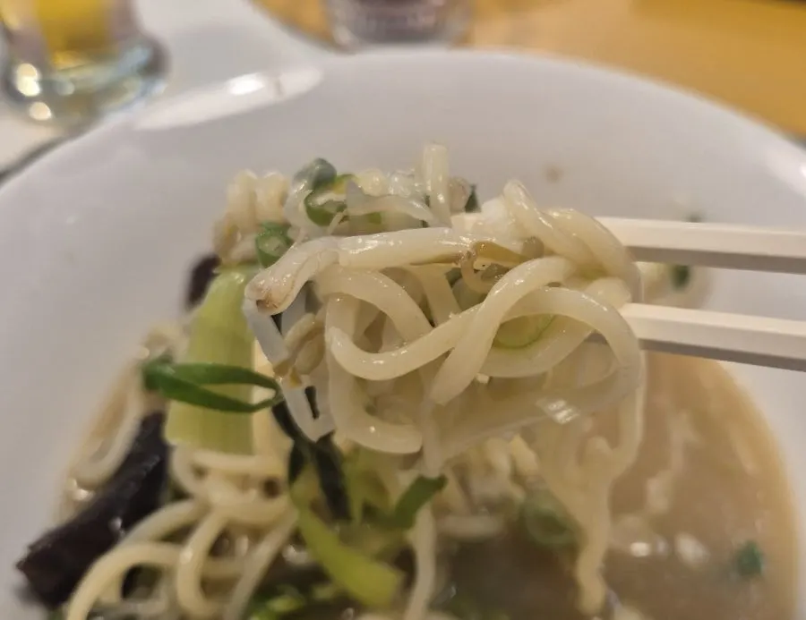Thick noodles lifted from the chicken steak ramen