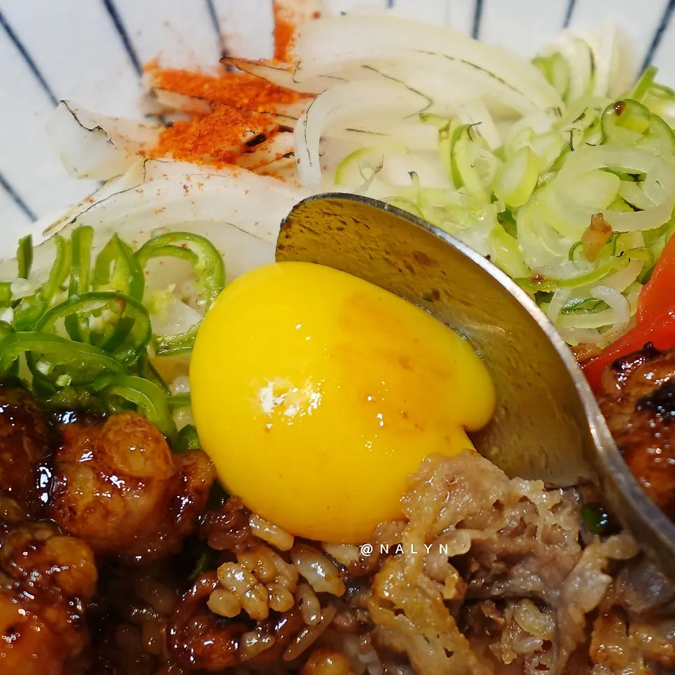 Beef intestine and beef brisket over rice