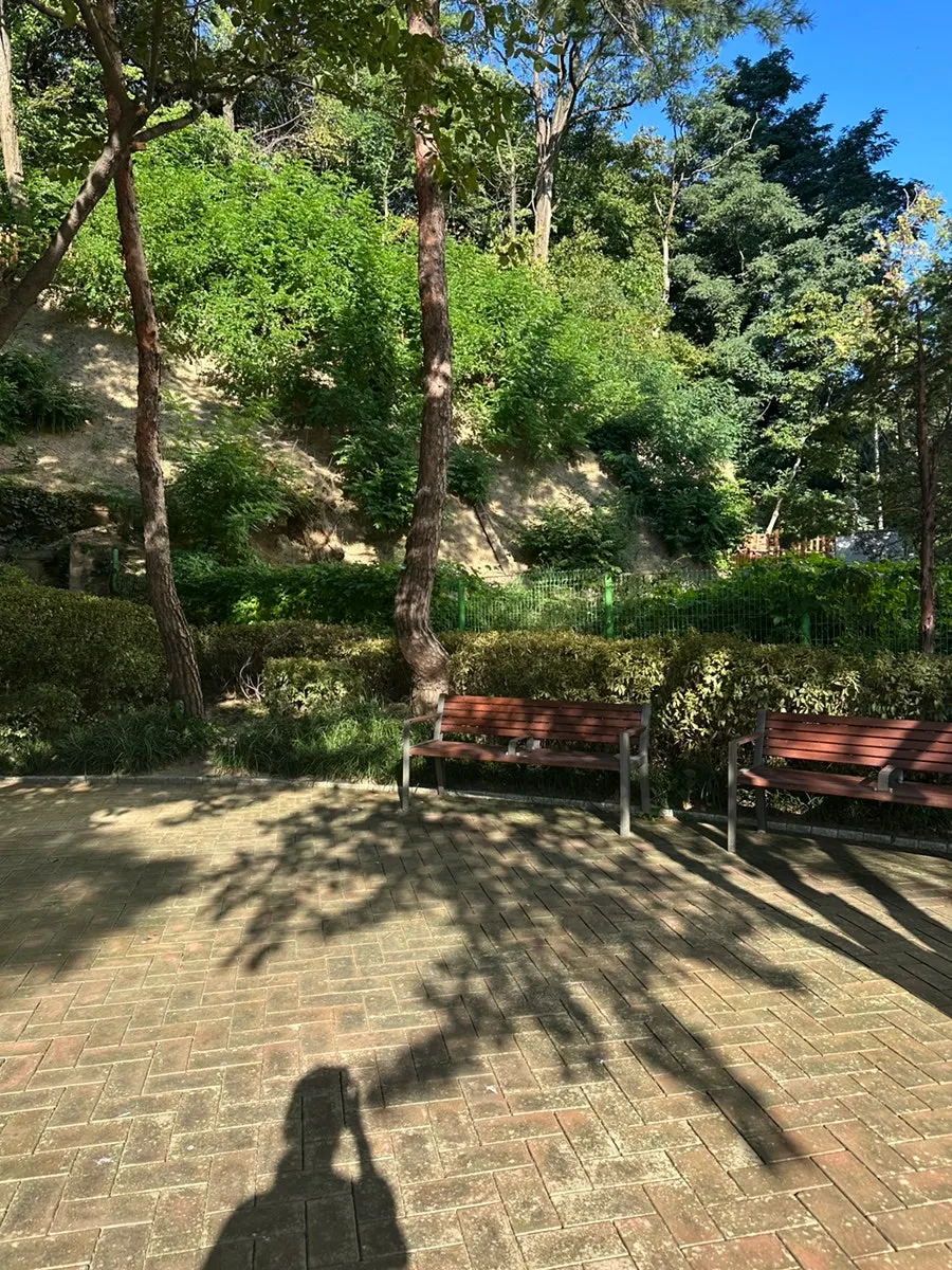 Sunny scene at Konkuk Park