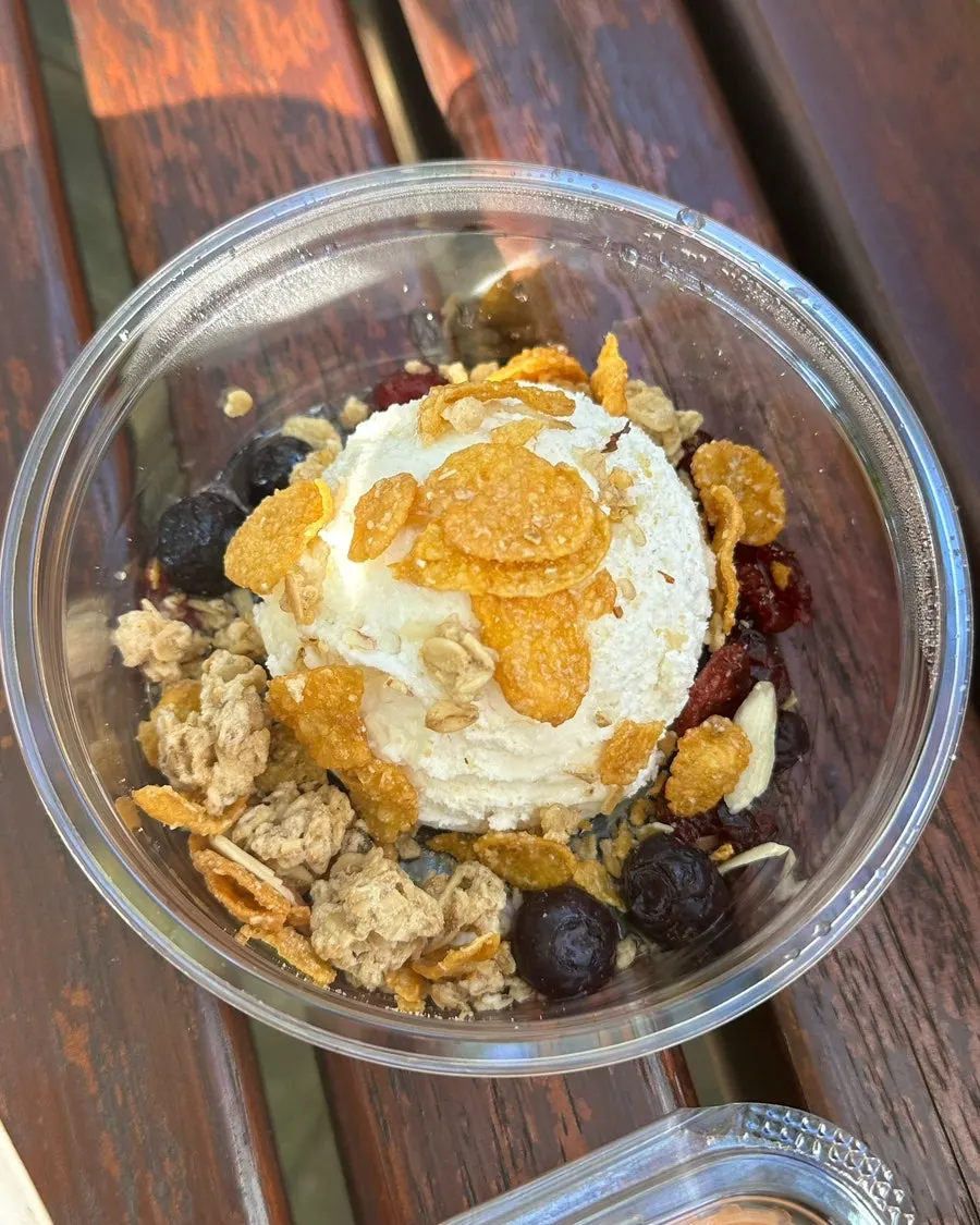 Greek yogurt topped with various toppings