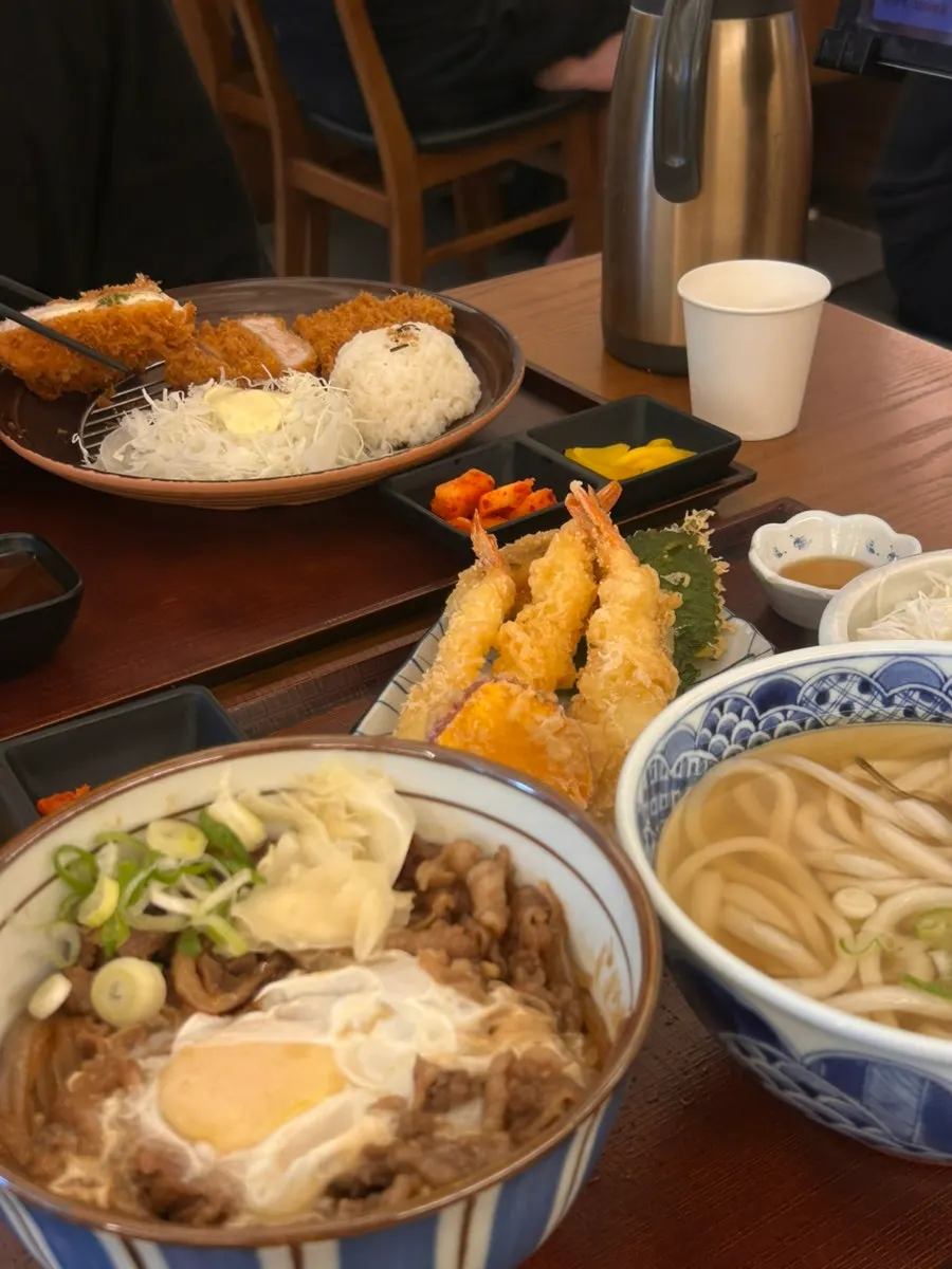 A full spread of half-and-half tonkatsu, gyudon, udon, and tempura