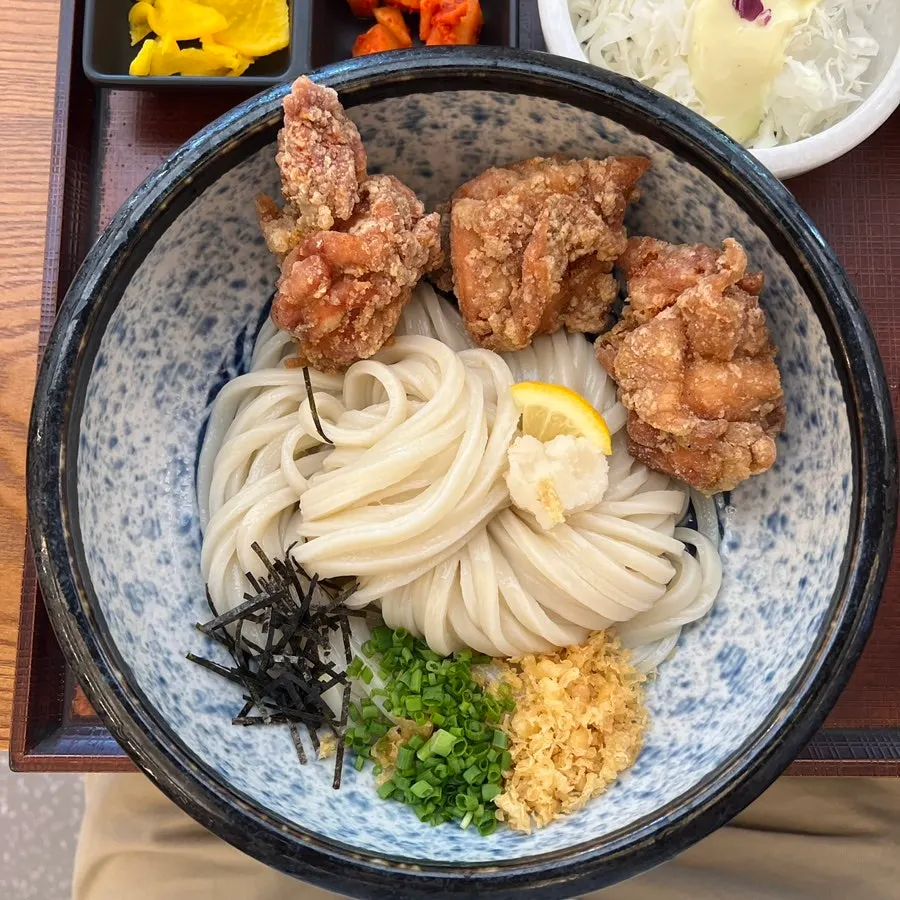 Imagen del fideo elástico de udon con toriten