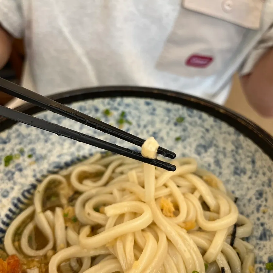 Imagen de la textura del fideo de bukkake udon