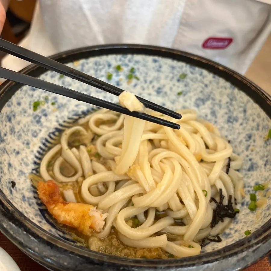 Imagen de la composición del set de bukkake udon