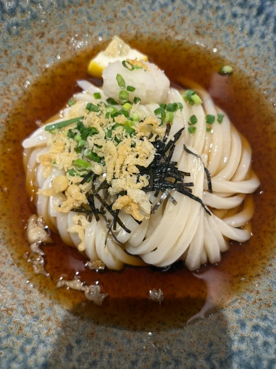 Chopsticks lifting sanuki udon noodles
