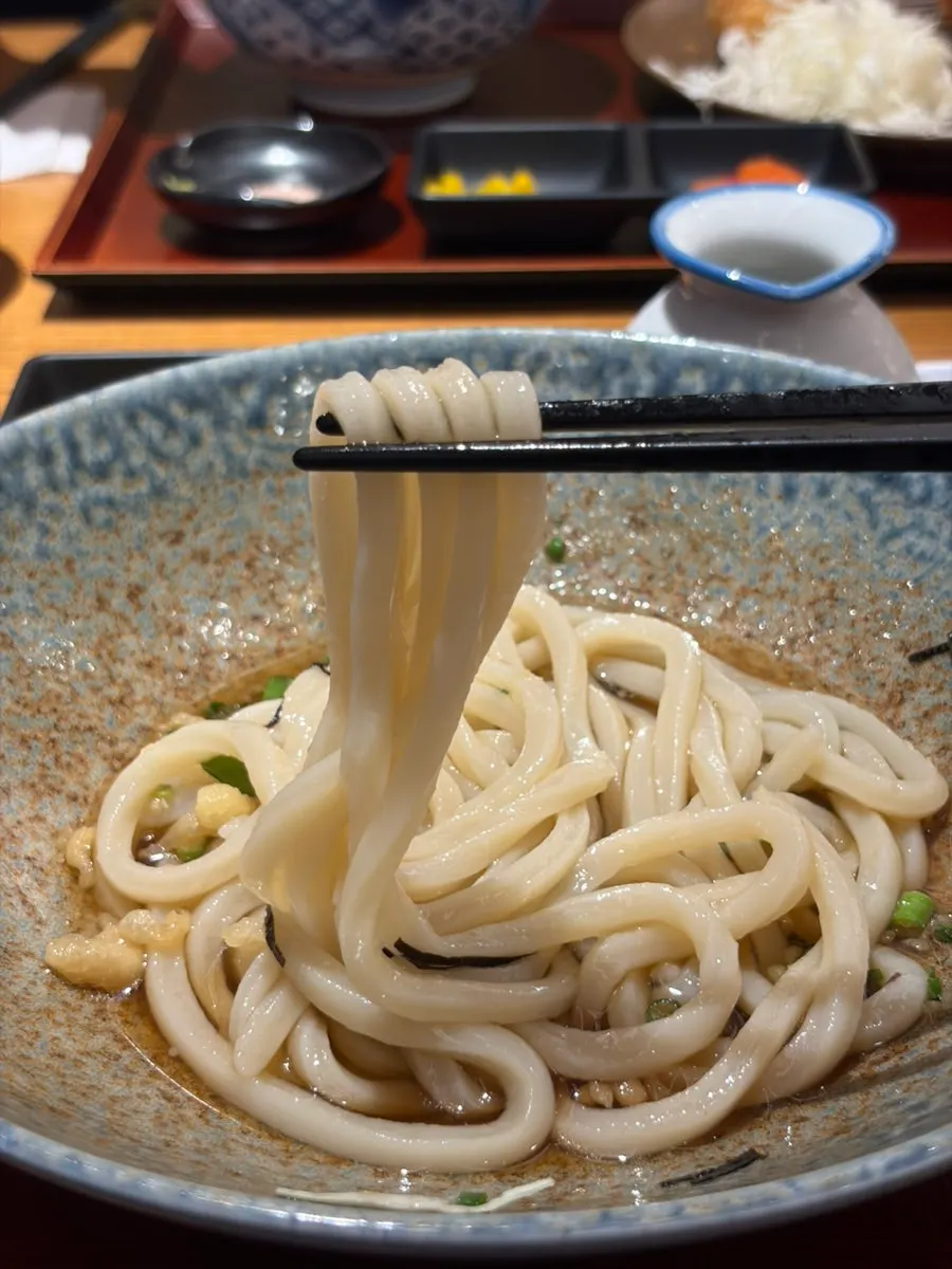 Bukkake udon mixed with tsuyu sauce