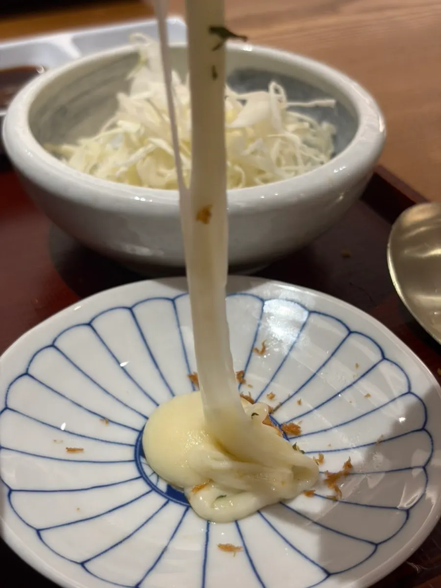Cheese stretching long from the cheese tonkatsu