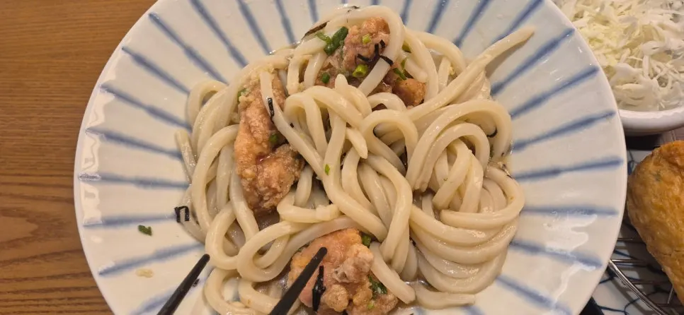 Katsudon served with added side udon