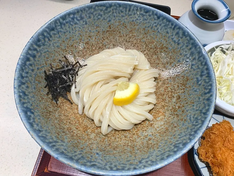 Thick fresh Sanuki noodles in bukkake udon