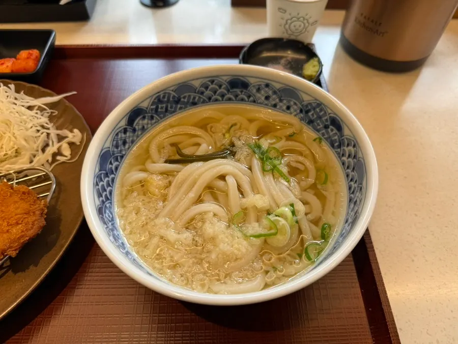A bowl of udon with self-made noodles