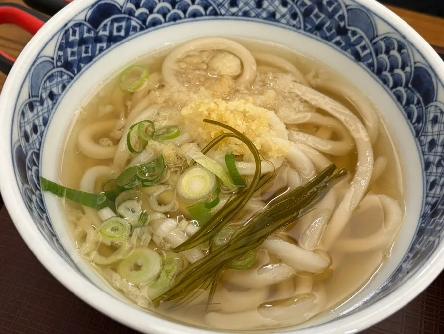 Mixed katsu kake udon set alongside bukkake udon