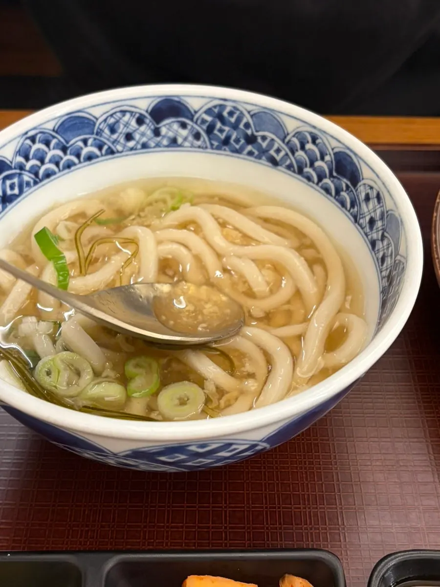 Hot broth kake udon