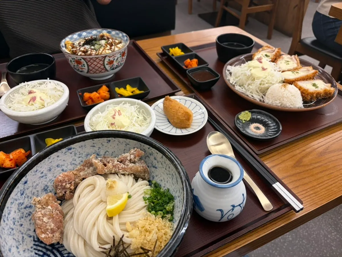 Three dishes of udon and tonkatsu ordered for two people