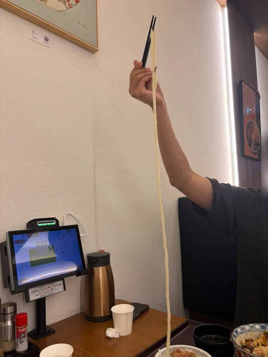 Thick, long house-made udon noodles