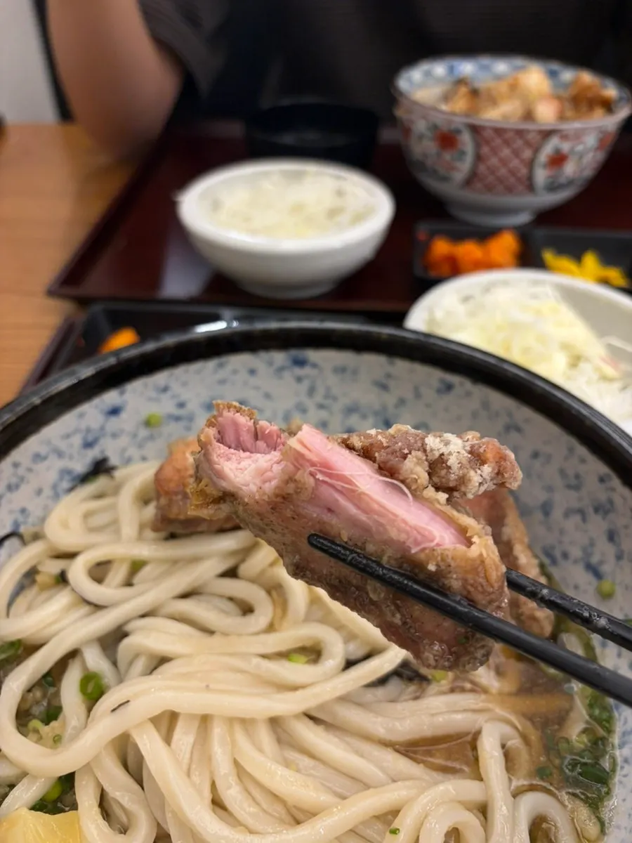 Lifting up an unbroken strand of udon noodle