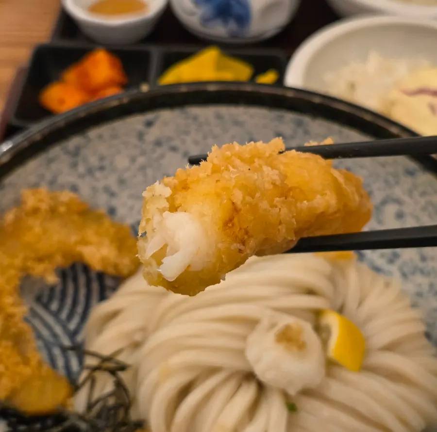 Lifting up a bouncy strand of udon noodle
