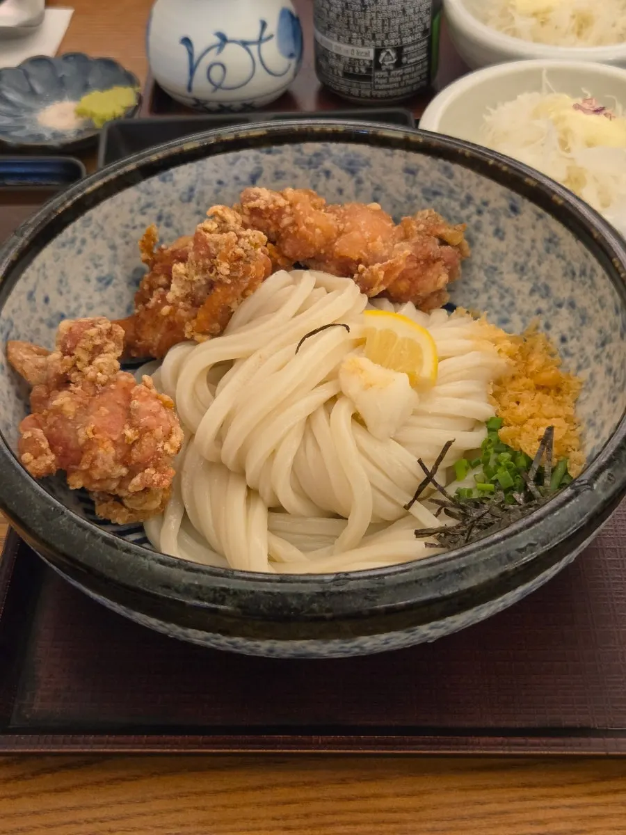 Full spread of the toritenbukkake udon set