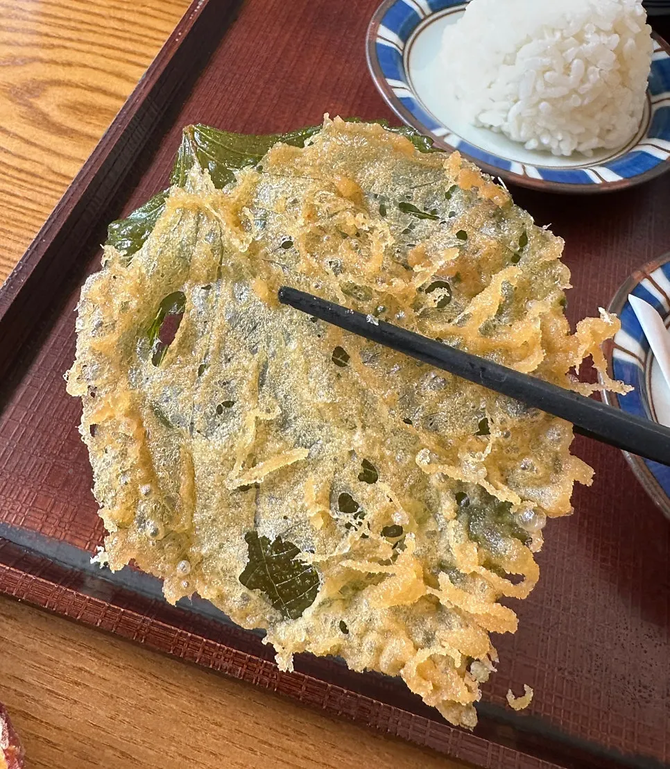 A crispy fried piece of tempura