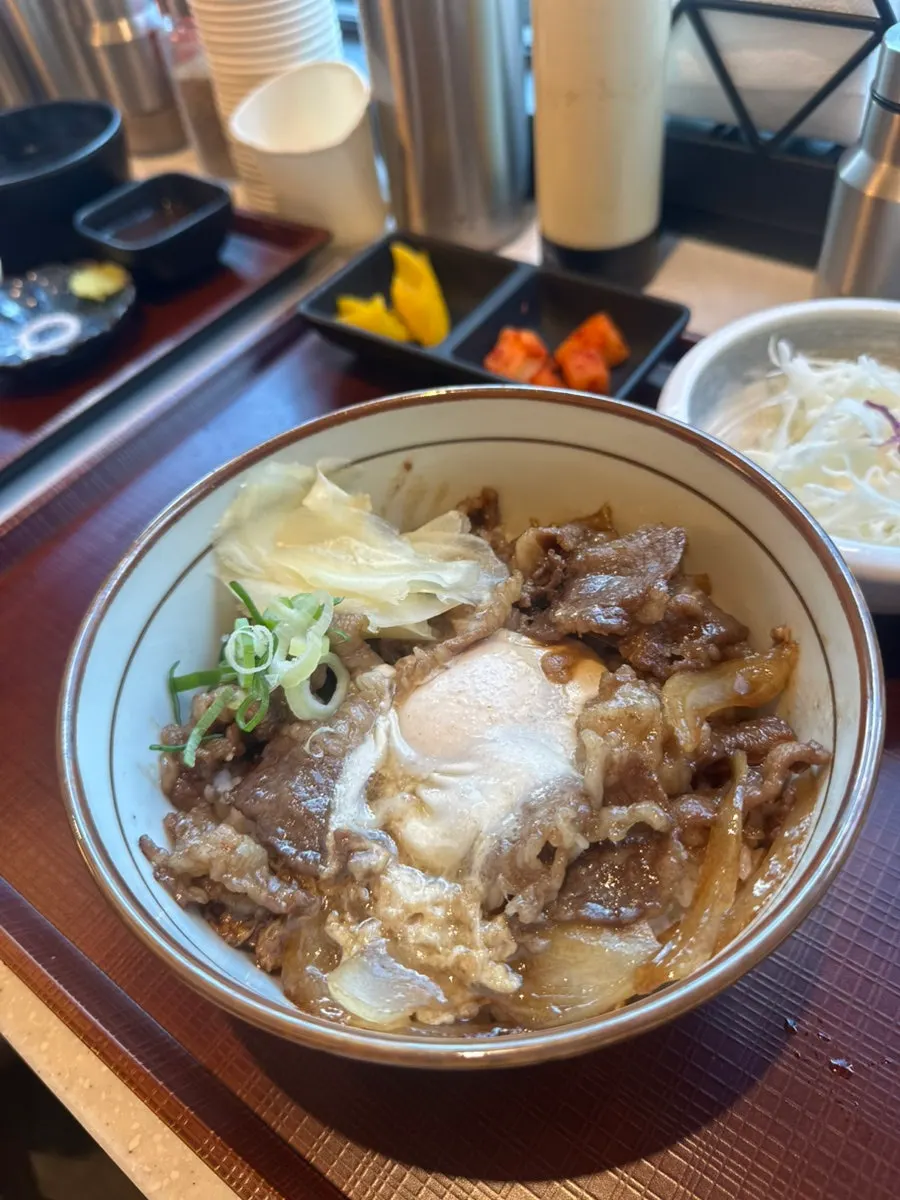 Half-and-half katsu, mazeudon, and gyudon together on the table