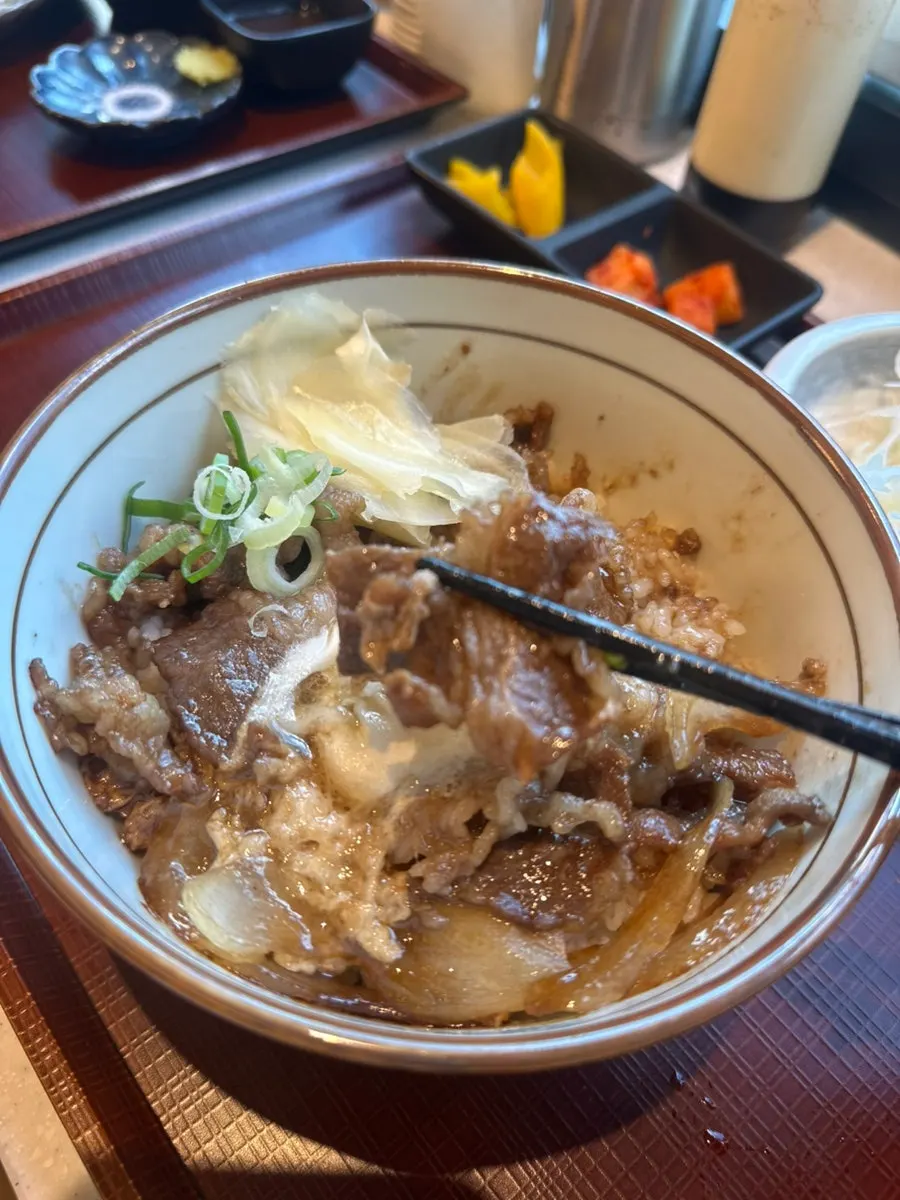 Gyudon topped with tender meat