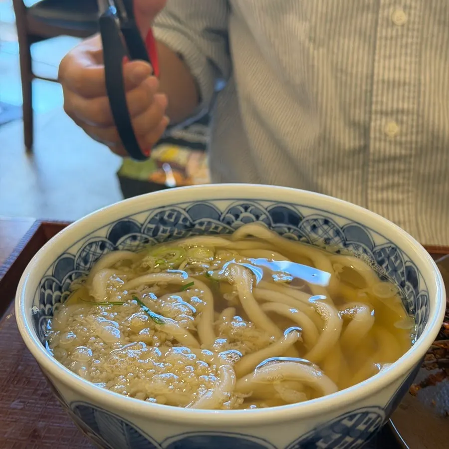 Udon and tonkatsu plated together as a set