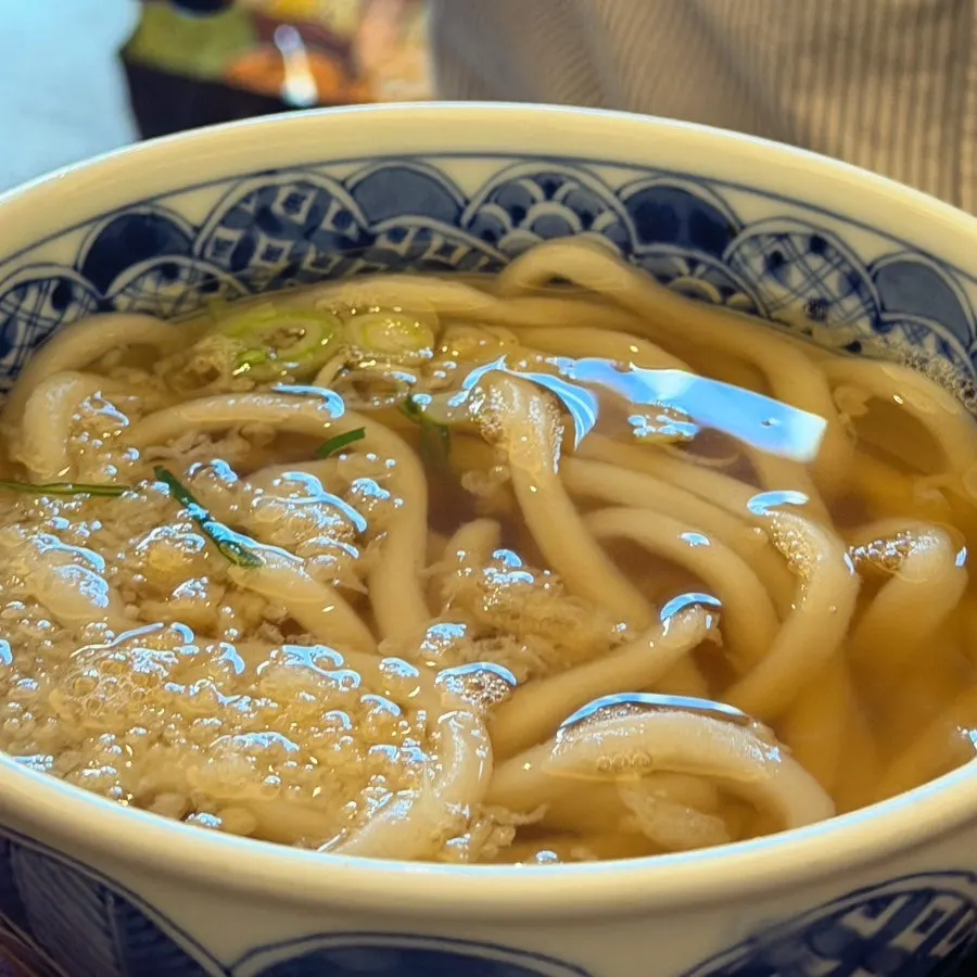 Udon served with the king shrimp katsu set