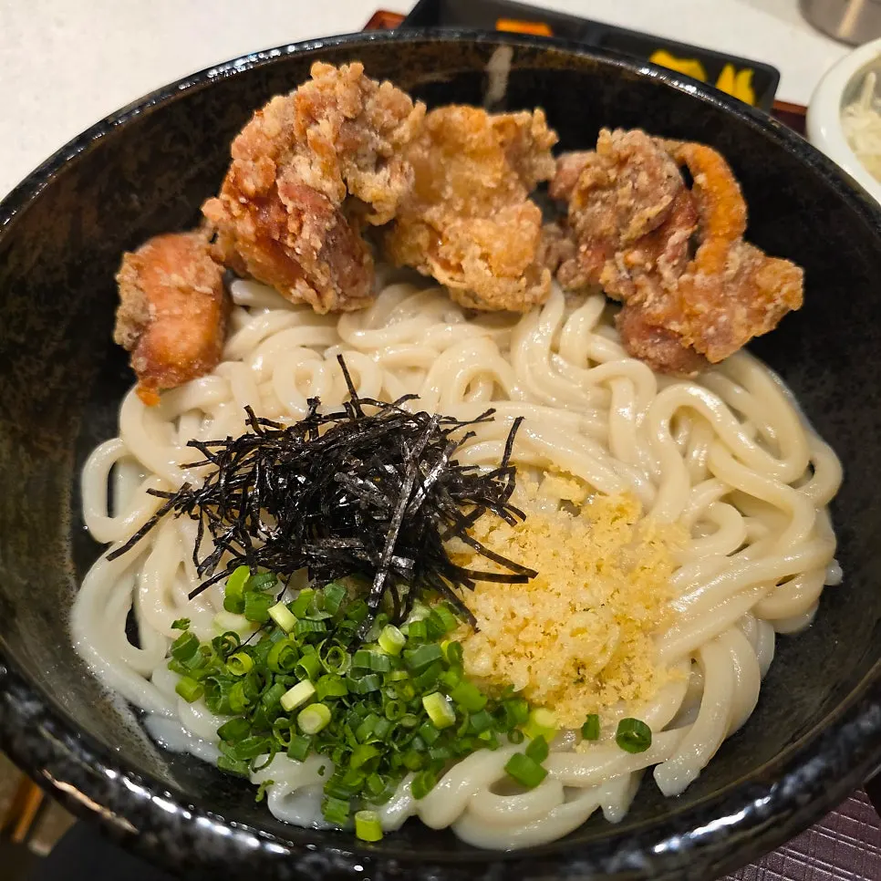 Crispy karaage served alongside the udon