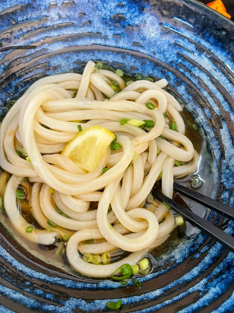 Thick Sanuki udon noodles lifted up with chopsticks