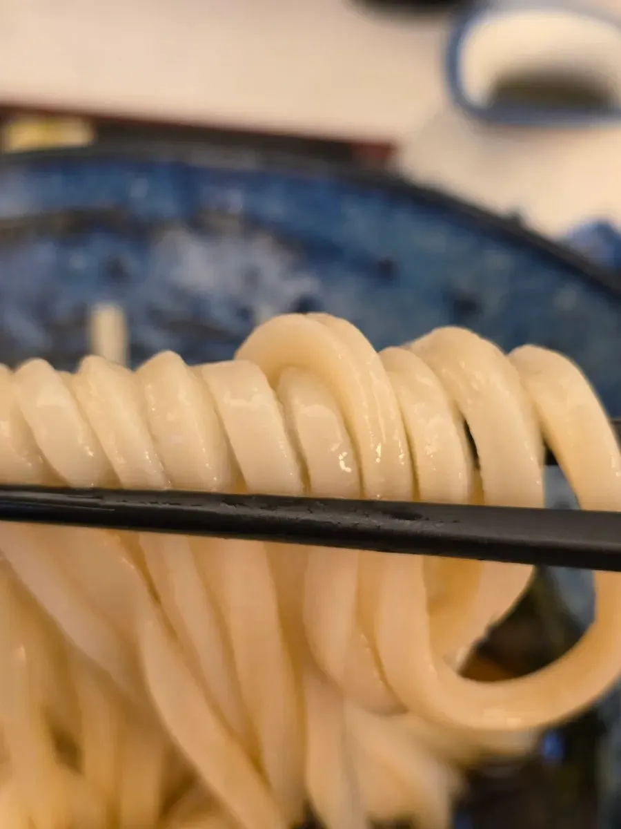 Sanuki-style udon noodles doused in tsuyu