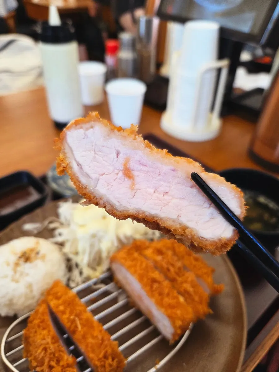 Close-up satu potong donkatsu