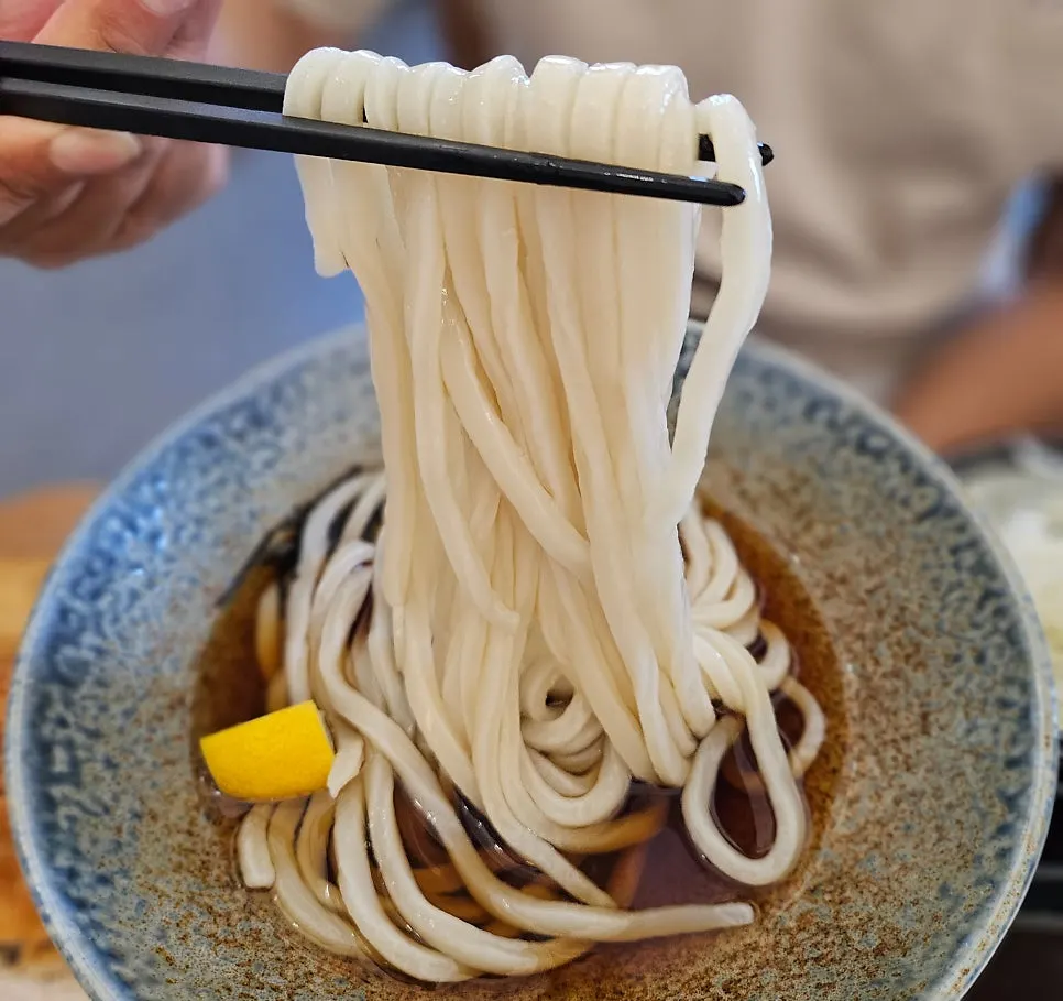 Cold ten bukkake udon with tsuyu poured over it
