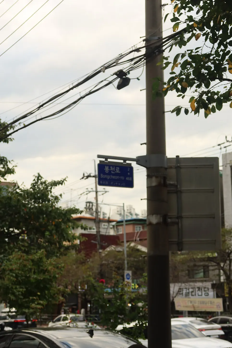 유모차와 함께한 서울대학교 캠퍼스 투어