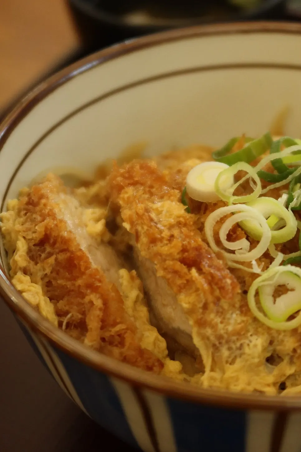 코시 붓카케 우동 한 그릇