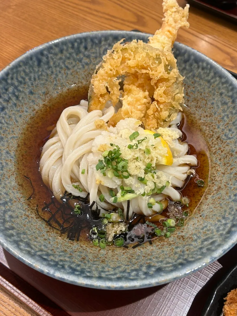 Udon noodles in rich tsuyu broth