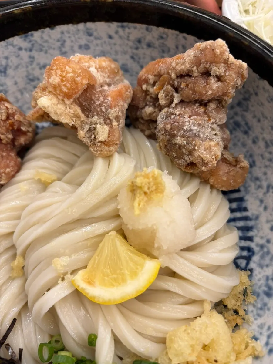 Udon noodles topped with scallions and seaweed flakes