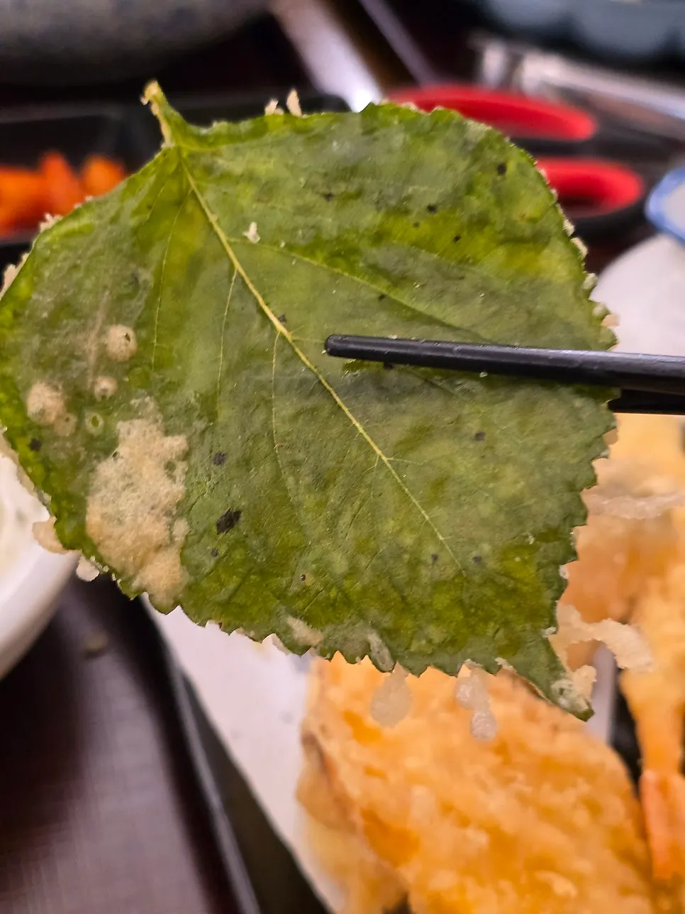 Plate of crispy fried tenpura