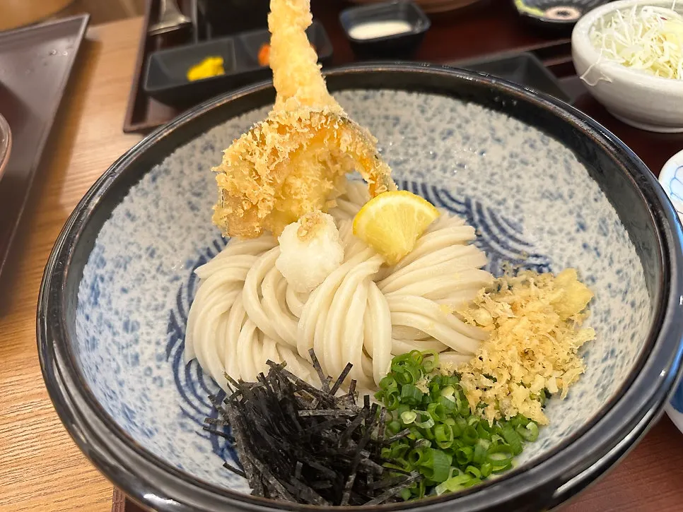 Bowl of handmade tenbukkake udon