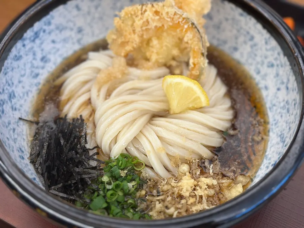 Chewy cold udon noodles mixed with tsuyu