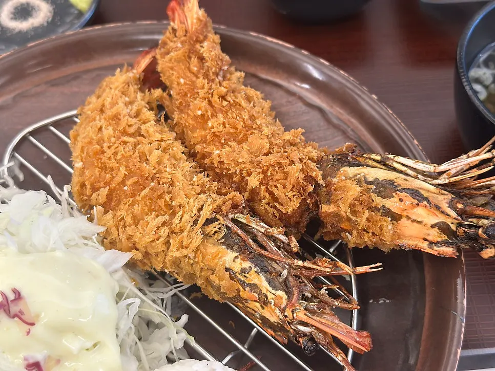 Plate of tonkatsu eaten with both sauce and salt