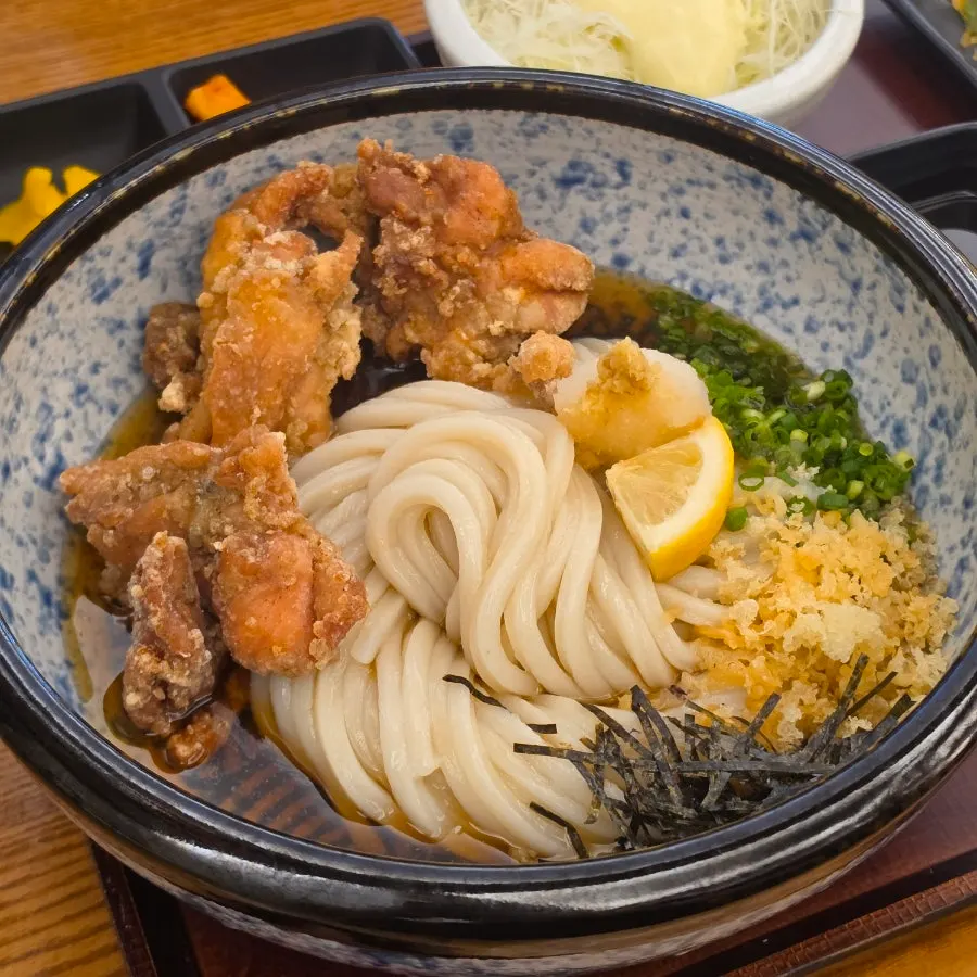 Cold udon broth and side dishes served separately