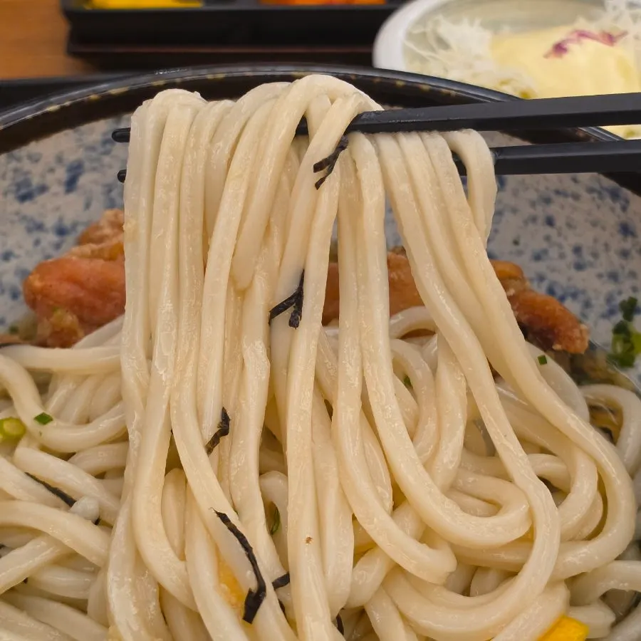 Close-up of bukkake udon topped with scallions, seaweed flakes, and grated radish