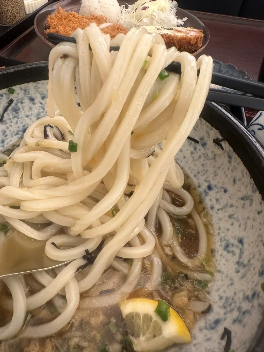 Cold udon mixed with poured tsuyu sauce